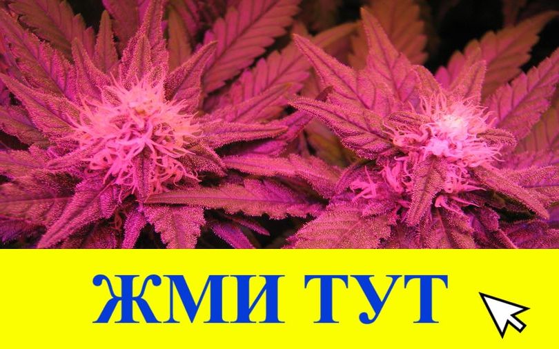 Купить наркотики в Туймазы