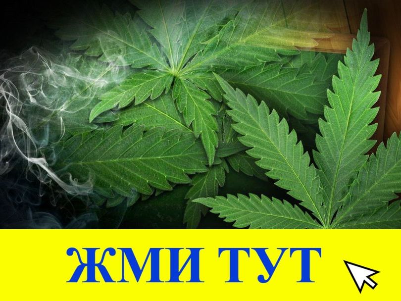 Купить наркотики в Туймазы